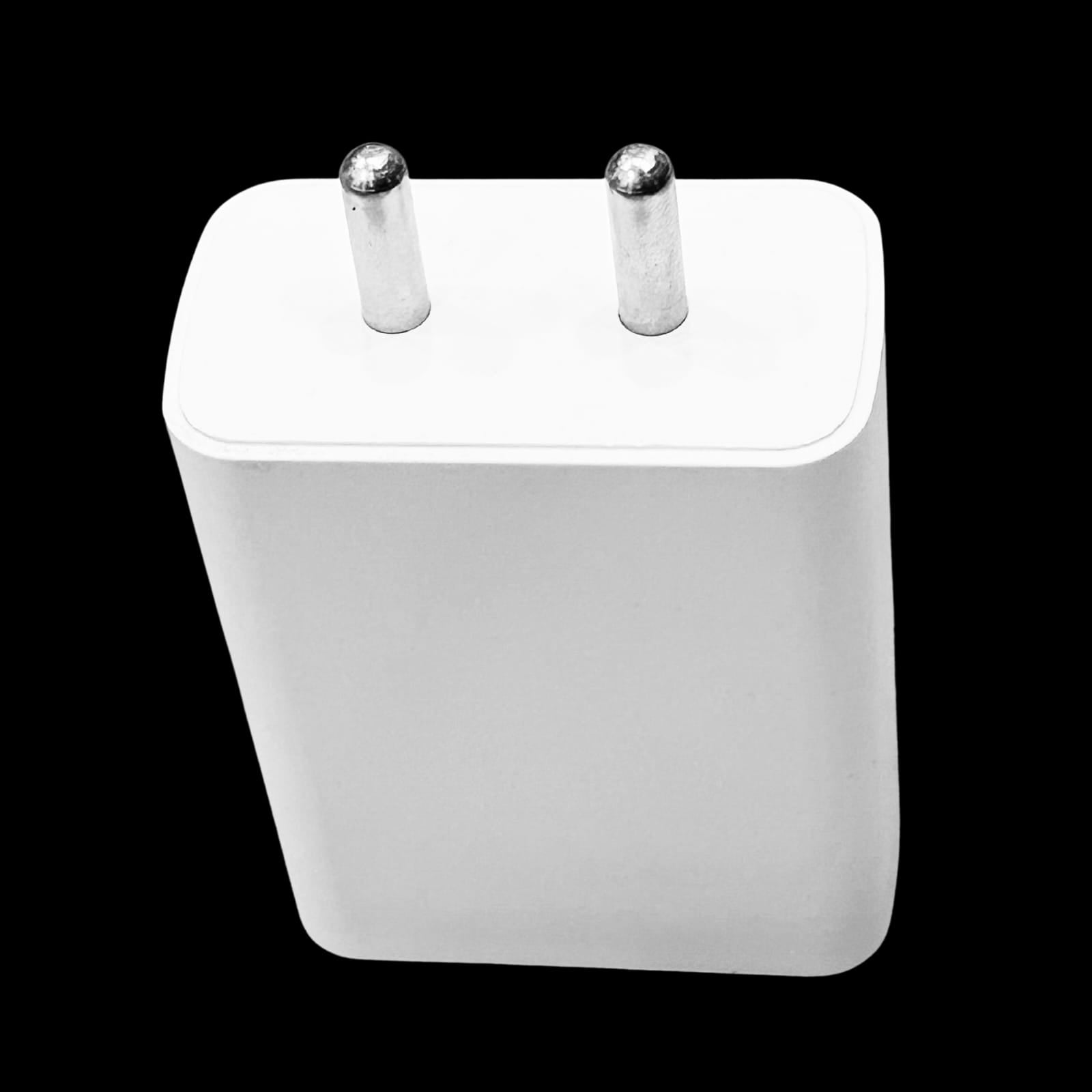 Rainor 100W Adaptor and Cable